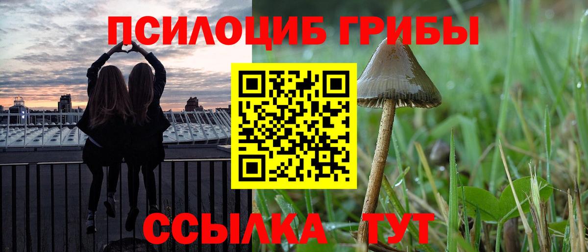 Псилоцибиновые грибы GOLDEN TEACHER Корсаков